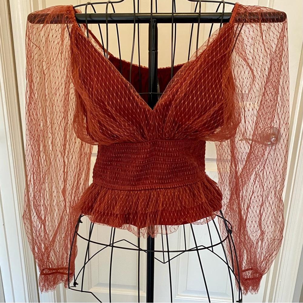 Anthropologie Elegant Rust Mesh Women's Top, size M, NWOT
